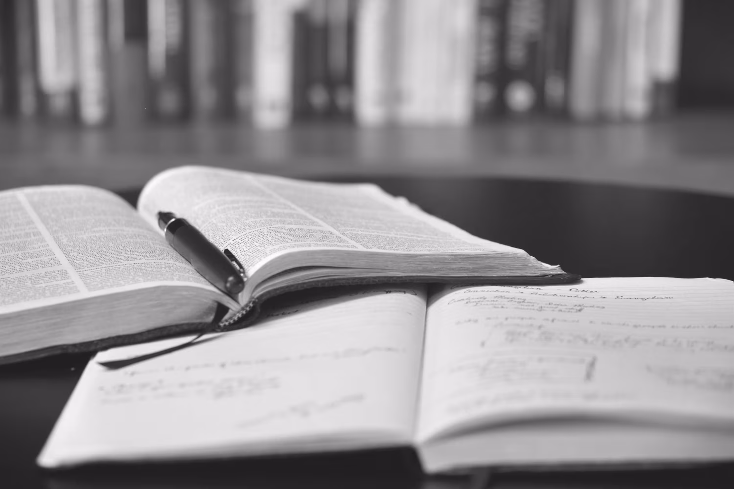 Due libri aperti.